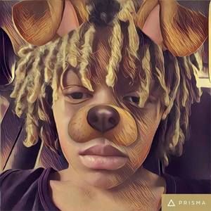 Meet your Posher, Darwin